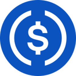 USDC (USDC) coin